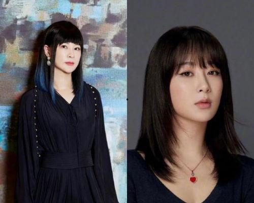 内娱爆料杨紫视频全集,内娱爆料背后的精彩瞬间